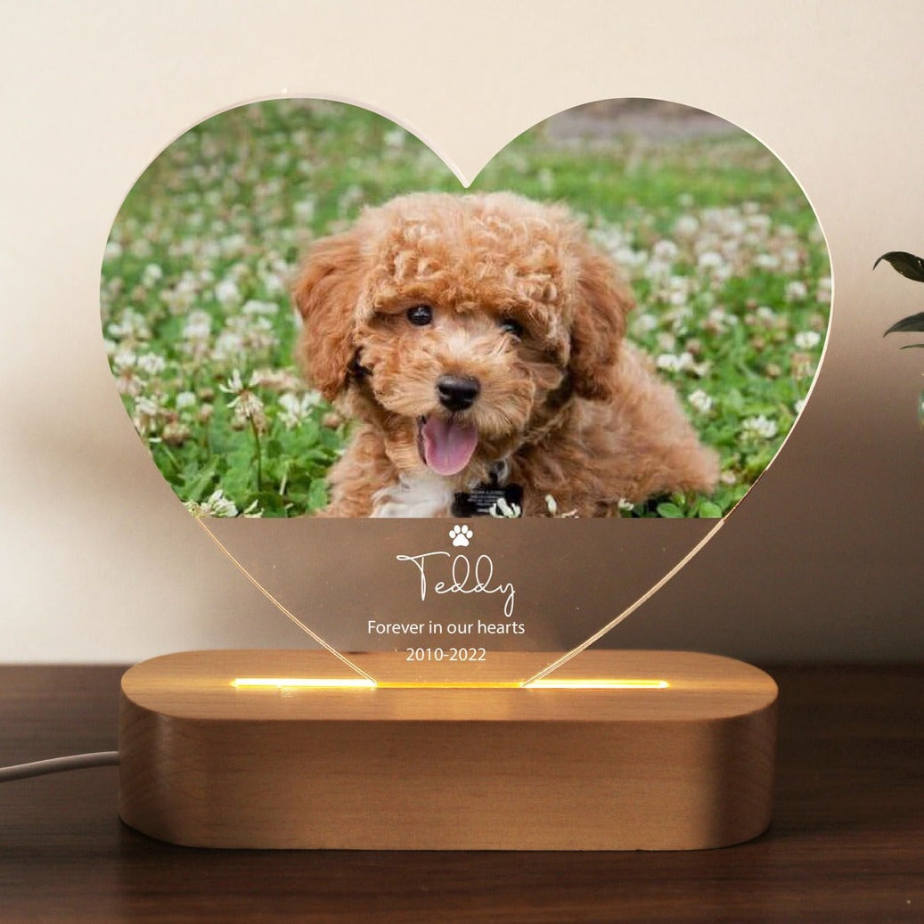 Personalized Pet Portrait Lamp